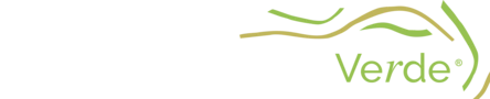 Logo Movimento Brasil