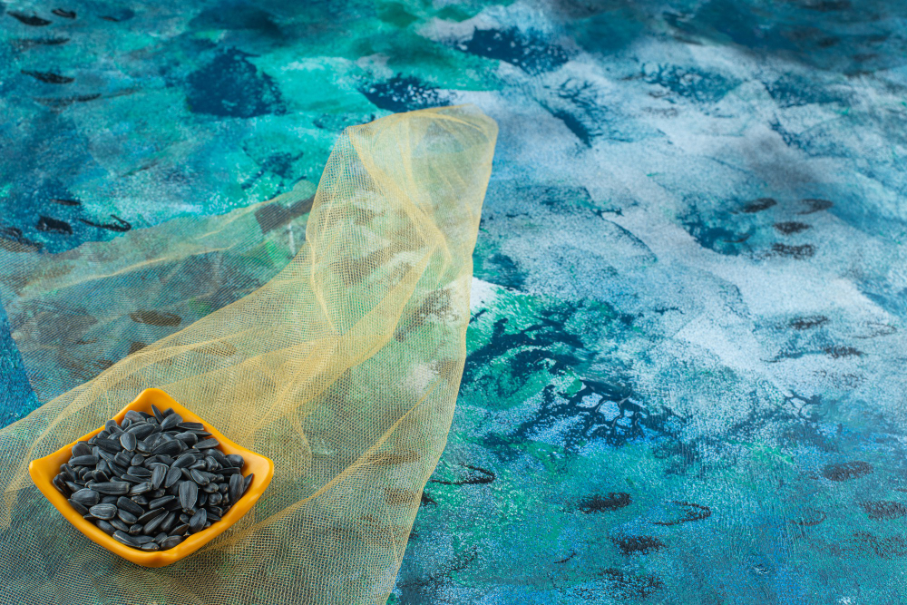 Projeto Blue Carbon: O Que É e Como Funciona na Prática