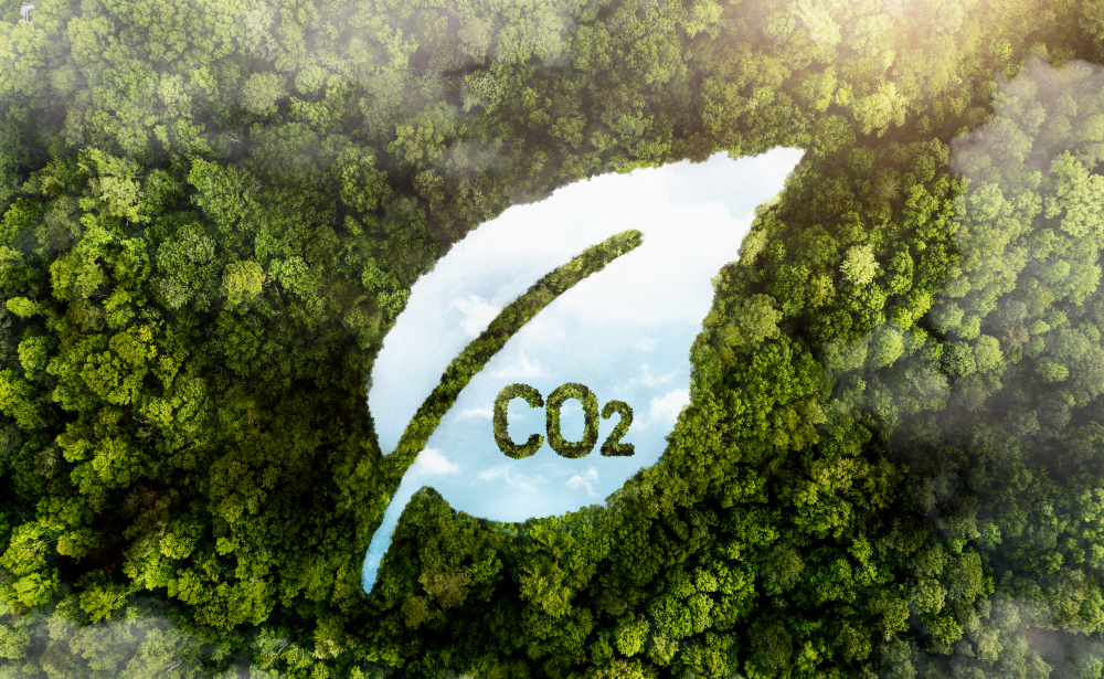Mercado Regulado de Carbono: O Impacto da Lei 15.042 no Agro